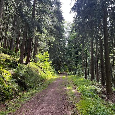 Gaestehaus Im Erzgebirge Zwoenitz Экстерьер фото